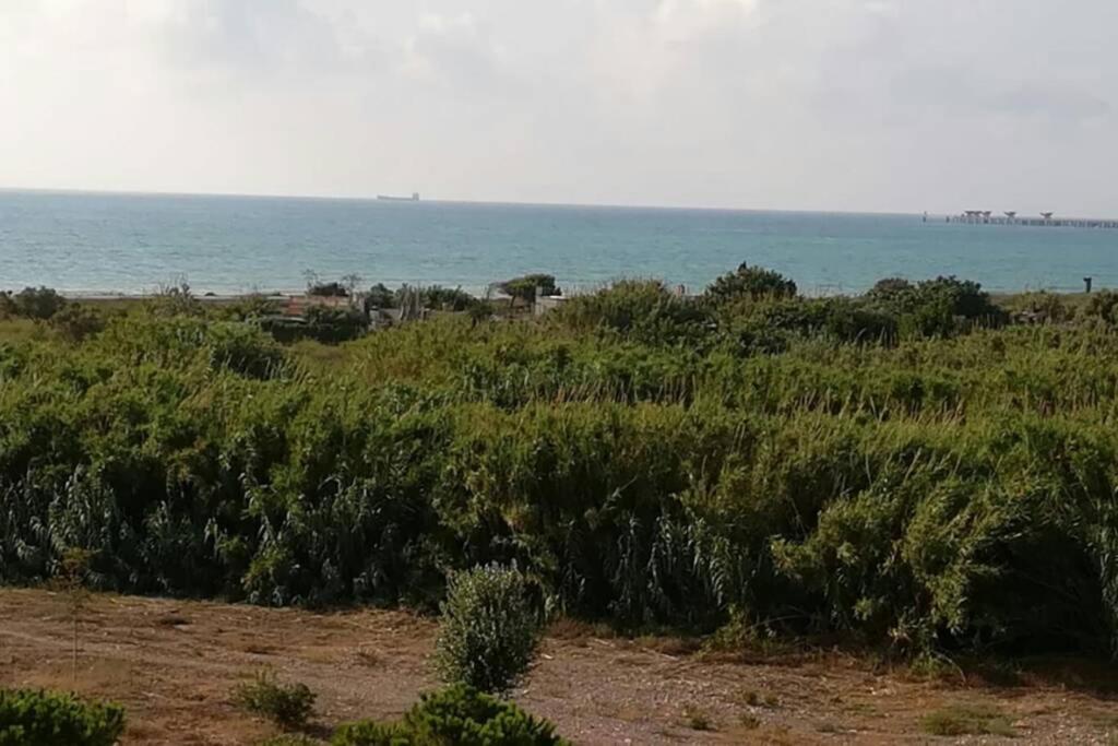 Apartamento Playa Canet Valenza Esterno foto